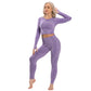 Seamless Yoga Sports Workout Sportswear Suit