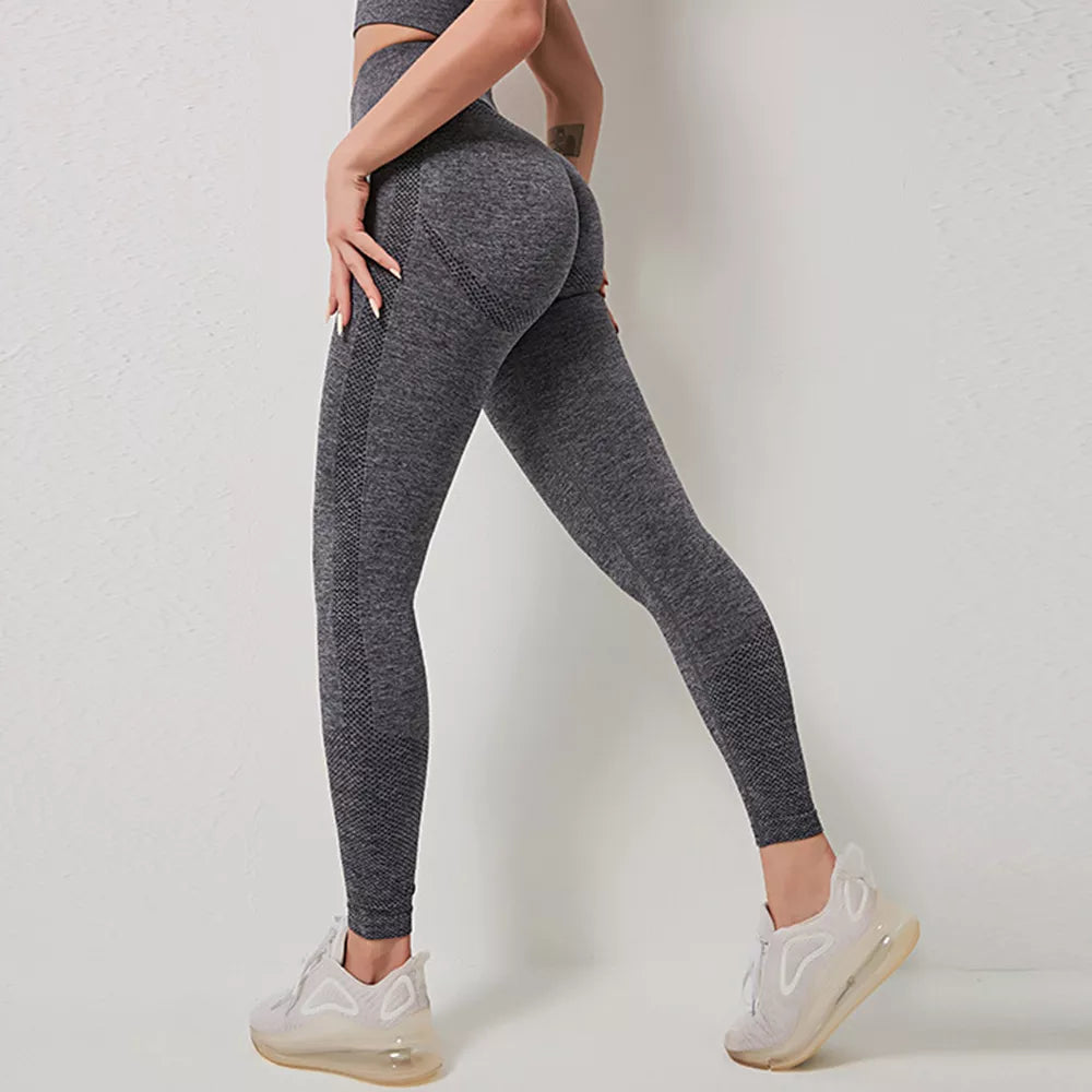 Seamless Fitness Women Yoga Pant