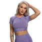 Fitness Solid Short Sleeve Crop Top