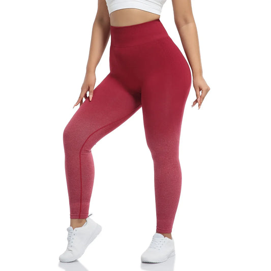 Gradient Leggings Seamless Yoga Pant